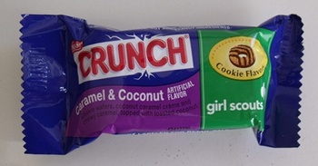 crunch-girlscouts3.jpg