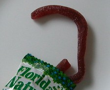 floridan3.jpg