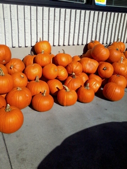 p-20121007.jpg