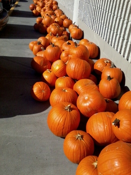 p-20121007_2.jpg
