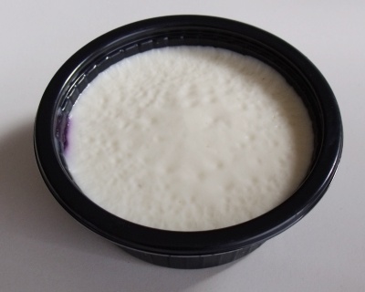 pannacotta3.jpg